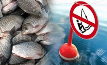 С началом нереста вступает в силу ежегодный запрет на вылов рыбы