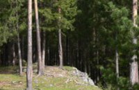 В лесополосе под Киевом нашли закопанный гранатомет (ФОТО)