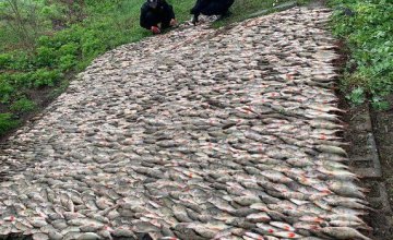  За апрель в Днепропетровской области браконьеры нанесли ущерб рыбному хозяйству на сумму более 190 тыс. грн 