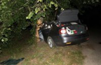 В Сумской области легковушка врезалась в дерево: трое погибших (ВИДЕО)