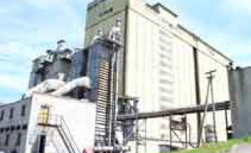 В Днепропетровской области СБУ разоблачила растрату зерна из госрезерва почти на 40 млн грн