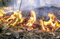 С 25 по 28 апреля на Днепропетровщине ожидается высокий уровень пожарной опасности, - Василий Гринчак 