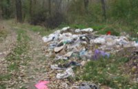 Диевский лес завален мусором и отходами
