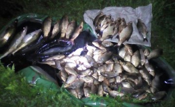​В течение месяца на Днепропетровщине изъяли полторы тонны незаконно выловленной рыбы 
