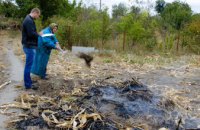 В Днепре с начала сентября составлено 29 протоколов по факту сжигания листьев