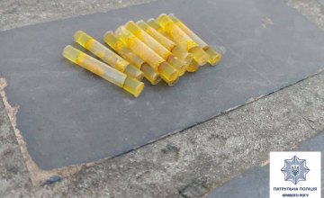 ​В Кривом Роге у горожанки обнаружили 12 пластиковых трубочек с амфетамином