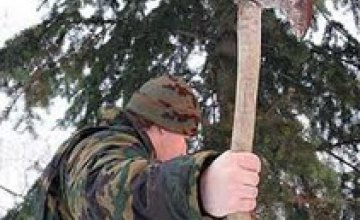 Охранник дачного поселка украл из Днепропетровского леса 126 елок