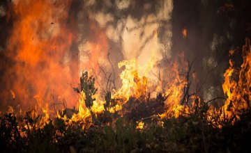 Пожароопасность в Днепропетровской области сохраняется  