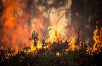 Пожароопасность в Днепропетровской области сохраняется  