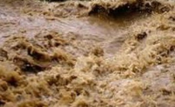 Жителей Синельниково спасают от потопа