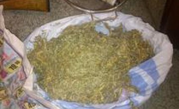 В Запорожье полиция нашла у местного жителя марихуану на 200 тыс грн и арсенал оружия