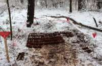 В лесу возле Киева нашли более 400 боеприпасов (ФОТО)