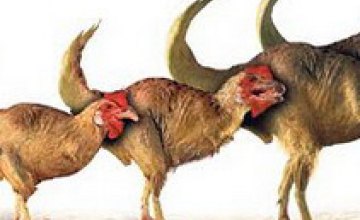 Американские ученые вывели «цыпленозавра»