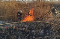В Новомосковске выгорело около гектара сухостоя (ФОТО)