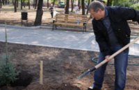 Александр Вилкул вместе с жителями Киева высадил саженцы клена в парке им. Шевченко 