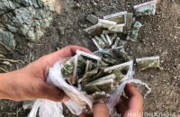  На Днепропетровщине у 19-летнего юноши изъяли более 50 слип-пакетов с марихуаной