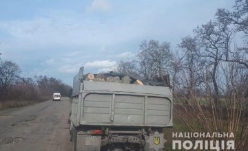 На Днепропетровщине 49-летний нарушитель перевозил 3 тонны незаконно срубленных деревьев