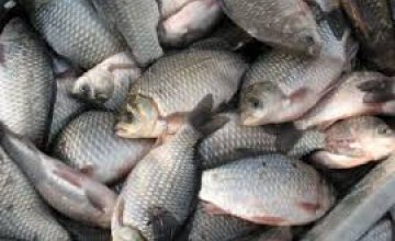 За январь на Днепропетровщине  задержали браконьеров за вылов рыбы на более чем 23 тыс. гривен
