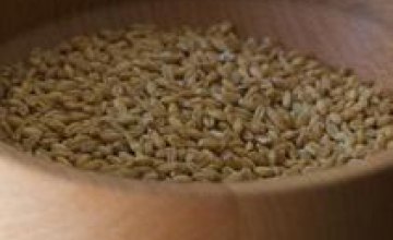 Аграрии Днепропетровщины уже собрали более 3 млн тонн зерновых культур