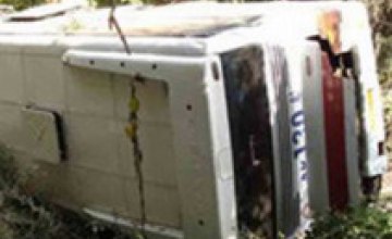 В Индии туристический автобус упал в пропасть